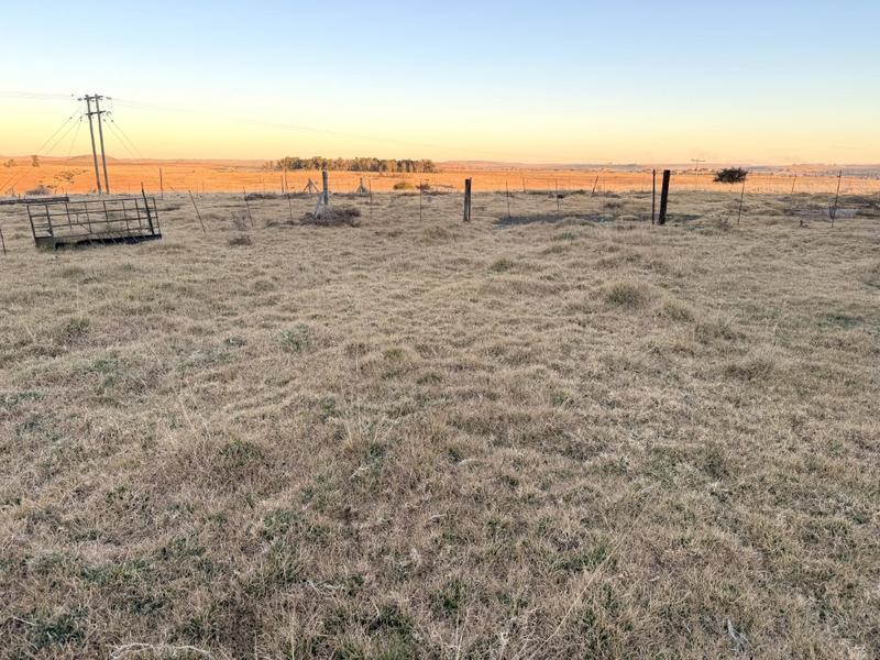 0 Bedroom Property for Sale in Warden Free State